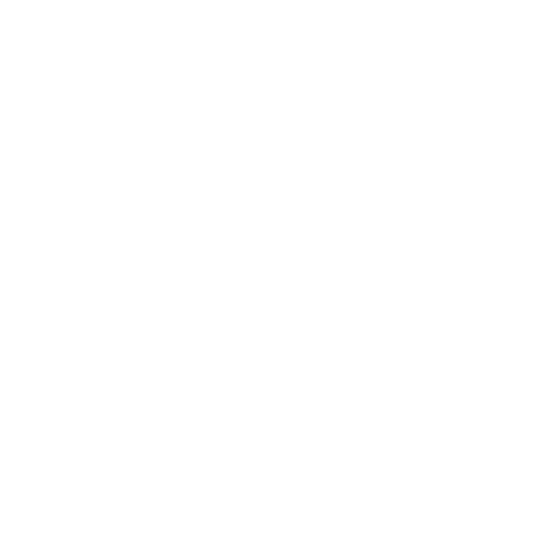 carry-on-logo-white